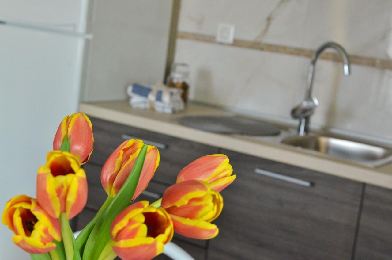 Apartmani Peric 1 Meka Draga オブロヴァツ エクステリア 写真